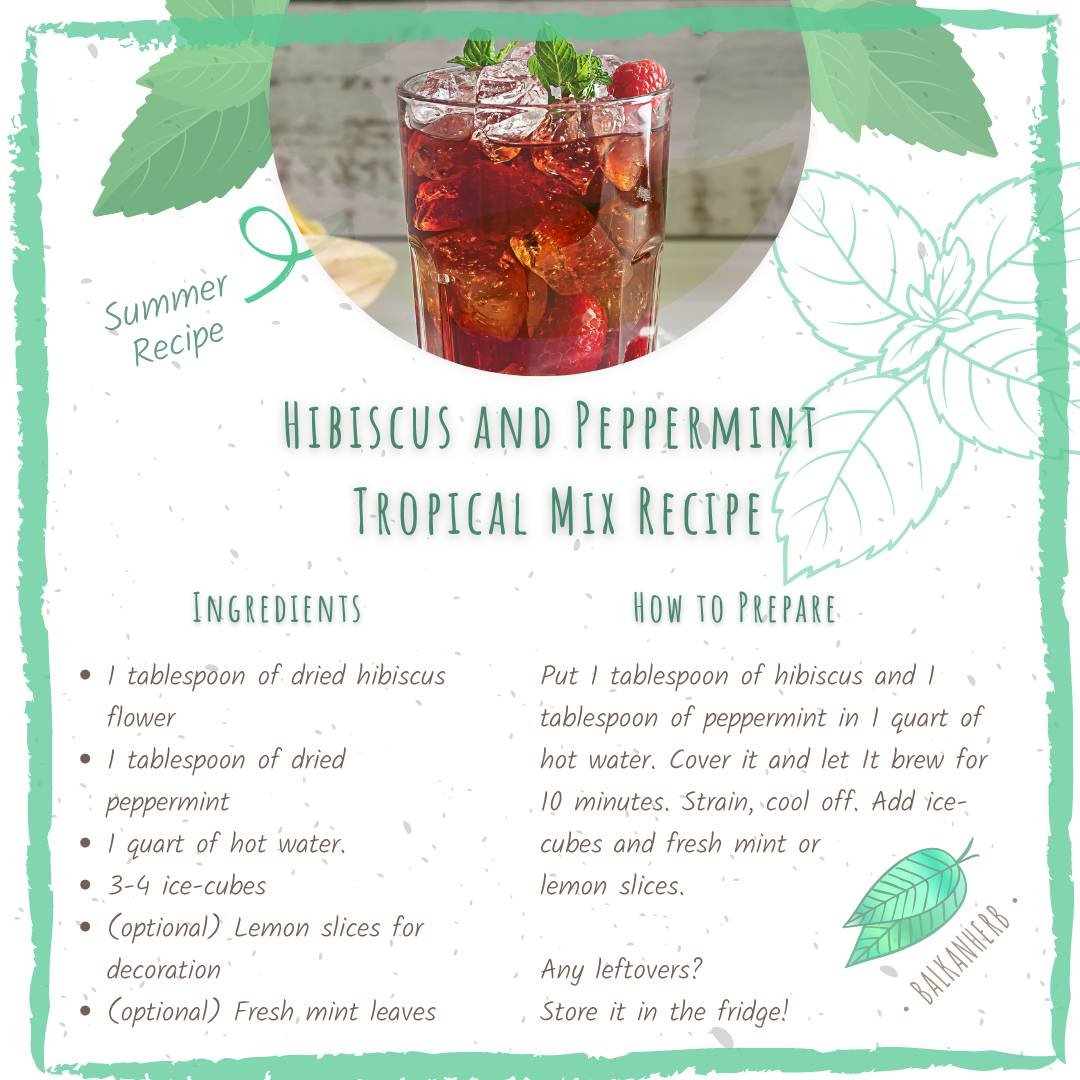 A recipe for a tropical summer herbal mix refreshment drink made out of hibiscus and peppermint.