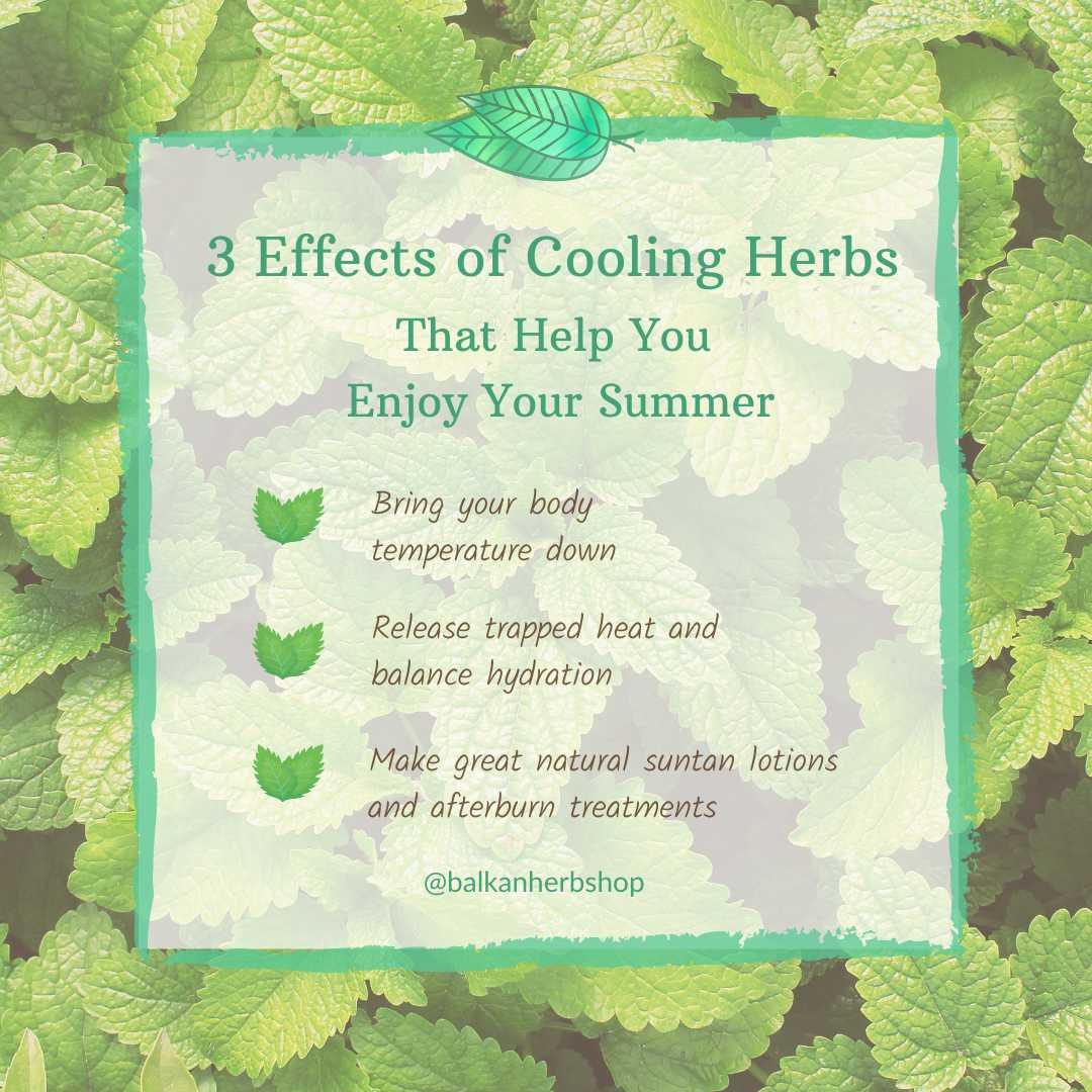 A nicely looking green photo listing the beneficial properties of summer cooling herbs.