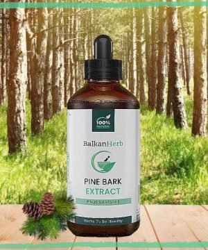 A photo of a bottle of Pine Bark Extract by BalkanHerb, representing an article about its science-backed benefits and uses.