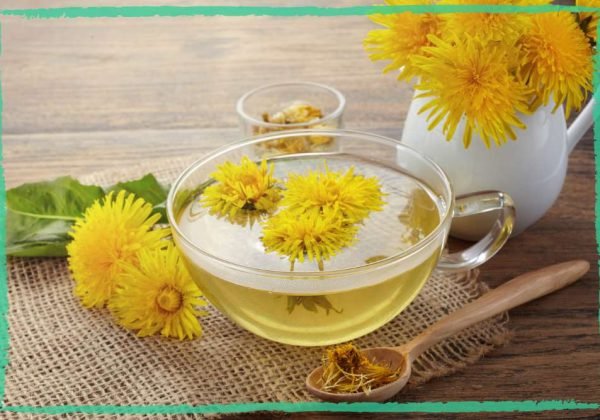 A photo of dandelion tea with beautiful dandelion flowers around, indicating an article about dandelion recipes, health benefits, and uses.